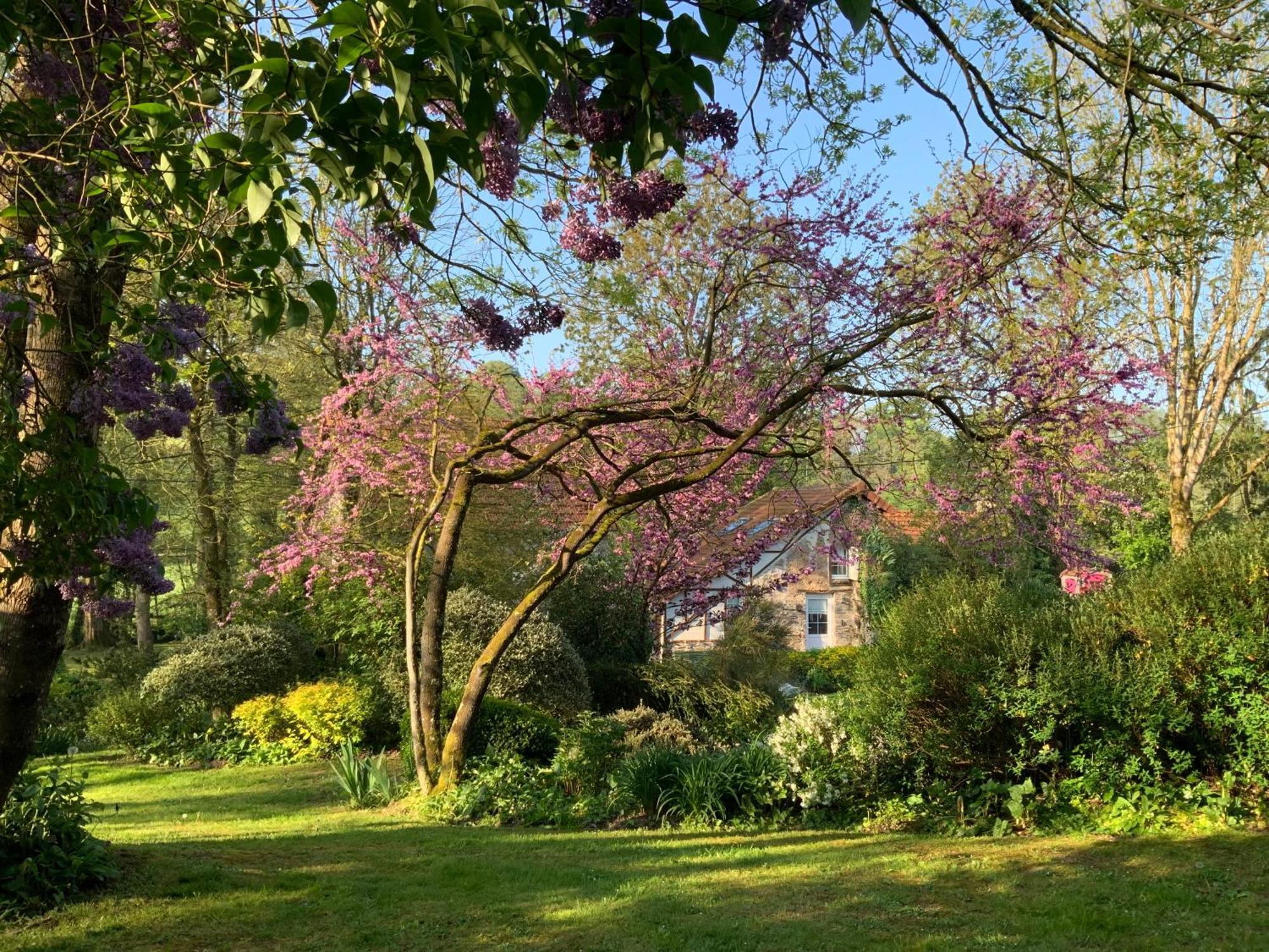 Le Moulin De La Castellerie Bed & Breakfast Moon-sur-Elle Exterior photo