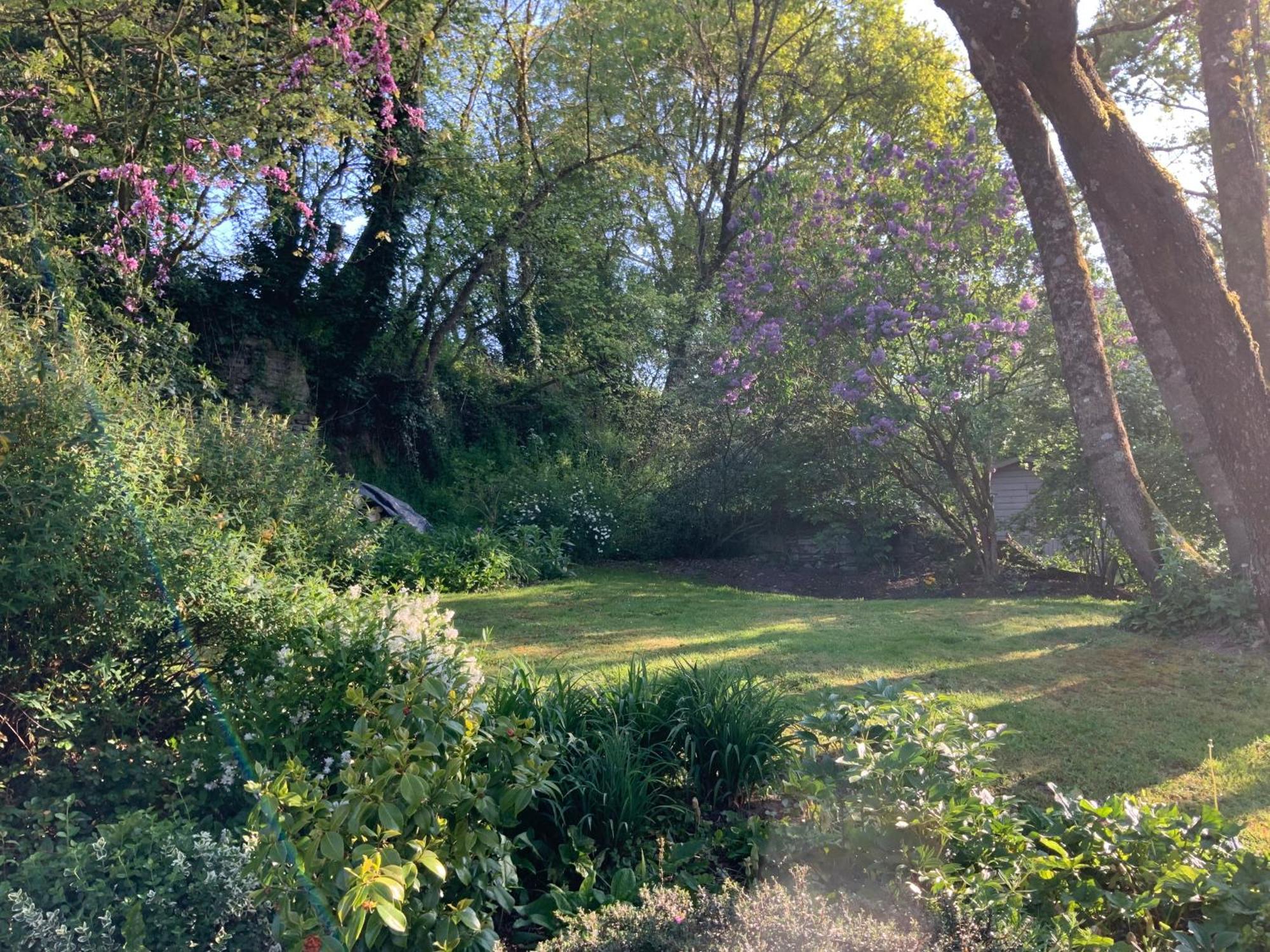 Le Moulin De La Castellerie Bed & Breakfast Moon-sur-Elle Exterior photo