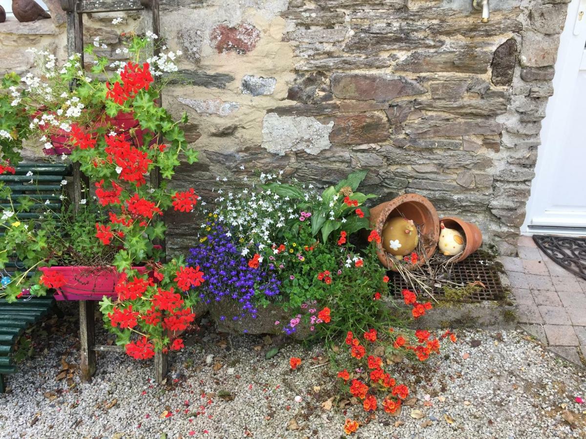 Le Moulin De La Castellerie Bed & Breakfast Moon-sur-Elle Exterior photo